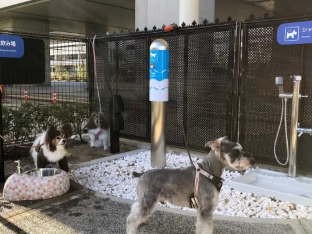 Toilet khusus anjing di Bandara Osaka Jepang. (tripzilla.com)