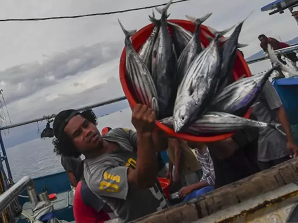 Nelayan melakukan bongkar muat hasil tangkapan laut di Pelabuhan Tulehu, Ambon, Maluku, Minggu (8/11/2020). (Photo/ANTARA FOTO/Muhammad Adimaja)