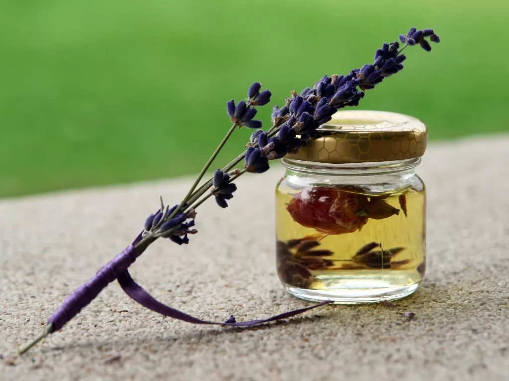 Minyak lavender (Pixabay/Devanath)