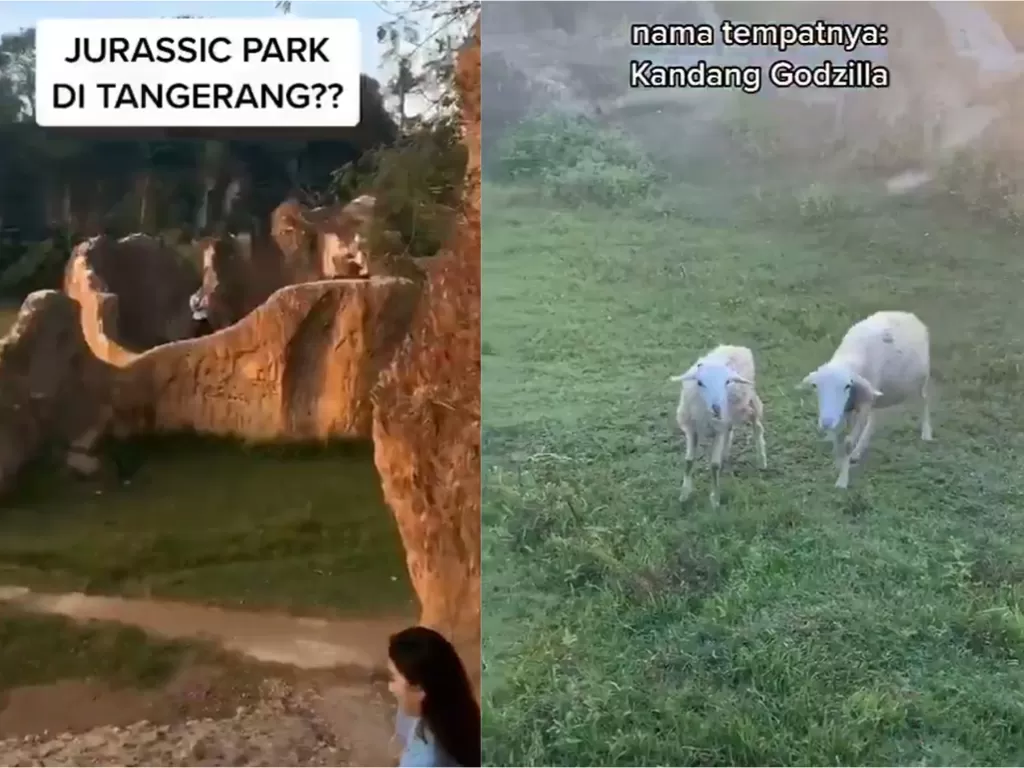 Wisata Jurassic Park Tebing Koja di Tangerang (TikTok/jacquelinesheerine)