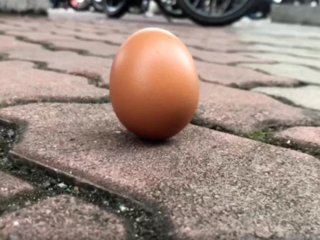Telur yang berdiri seimbang saat gerhana matahari. (REUTERS/Hakeem Maarof)