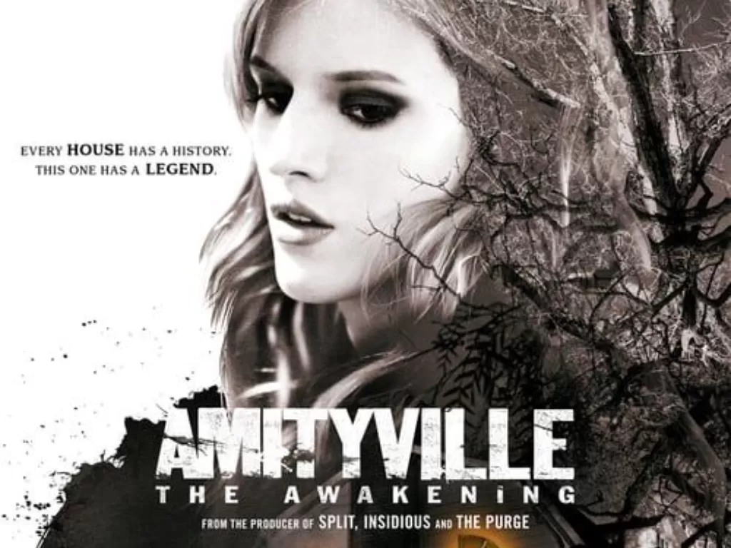Amityville: The Awakening (2017). (Blumhouse Productions)
