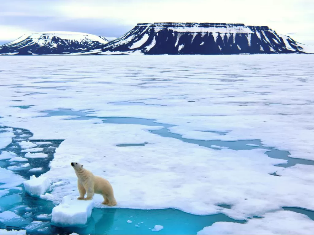 Ilustrasi suasana kutub Utara/Arktik. (escape.com.au)