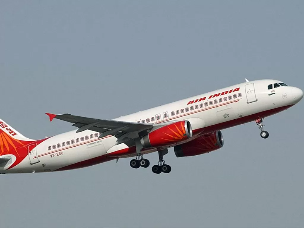 Ilustrasi pesawat Air India. (india.com)