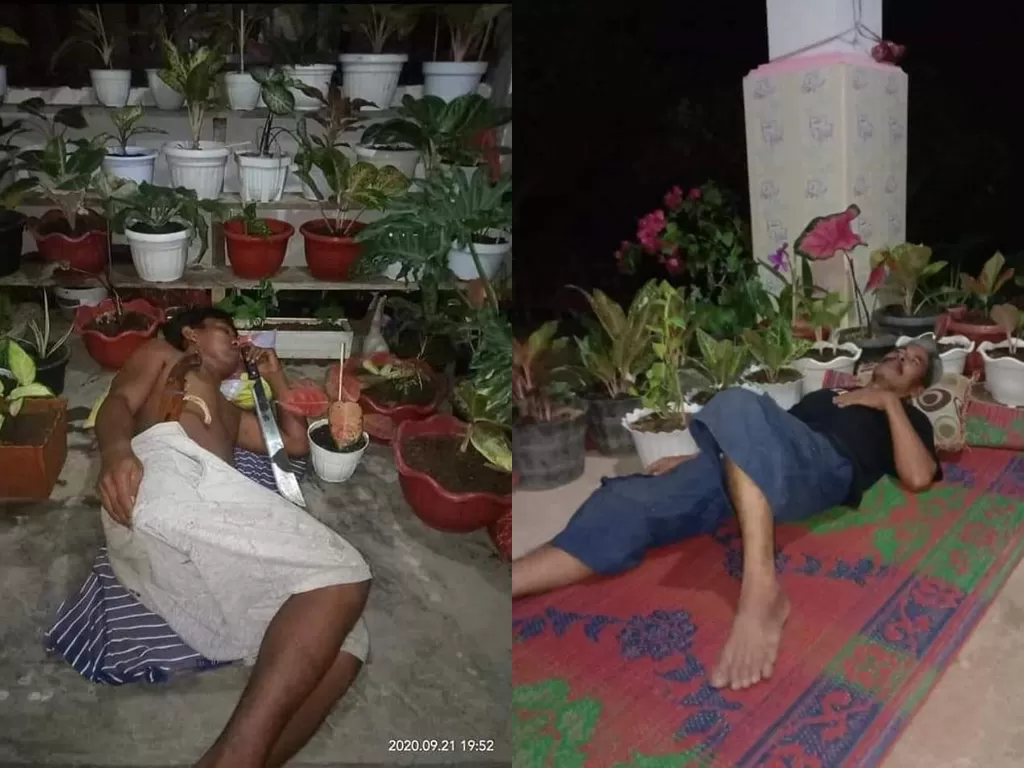 Suami tidur di luar untuk jaga tanaman hias istrinya (Twitter/@StafKhususGenZ)