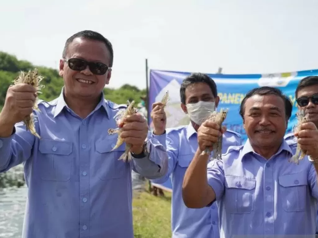 Menteri Kelautan dan Perikanan Edhy Prabowo (kiri) dengan Dirjen Perikanan Budidaya KKP Slamet Soebjakto (kedua kanan) memegang hasil panen udang. (ANTARA/HO KKP)
