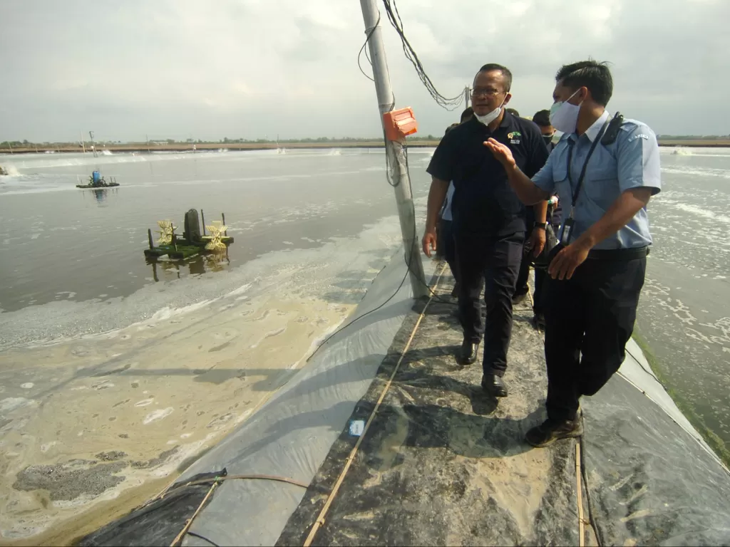 Menteri Kelautan dan Perikanan Edhy Prabowo (kiri) meninjau lokasi tambak udang di Desa Kaliwlingi, Brebes, Jawa Tengah. (Foto: ANTARA/Oky Lukmansyah)
