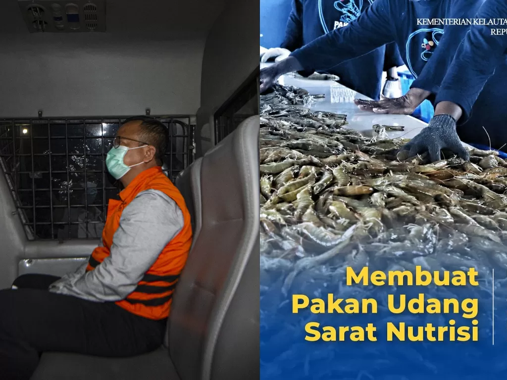 Edhy Prabowo. (ANTARA/Aditya Pradana Putra) / Tips bikin pakan udang sarat nutrisi. (Instagram/@kkpgoid)