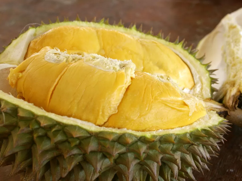 Buah durian. (Flickr/Lydia)