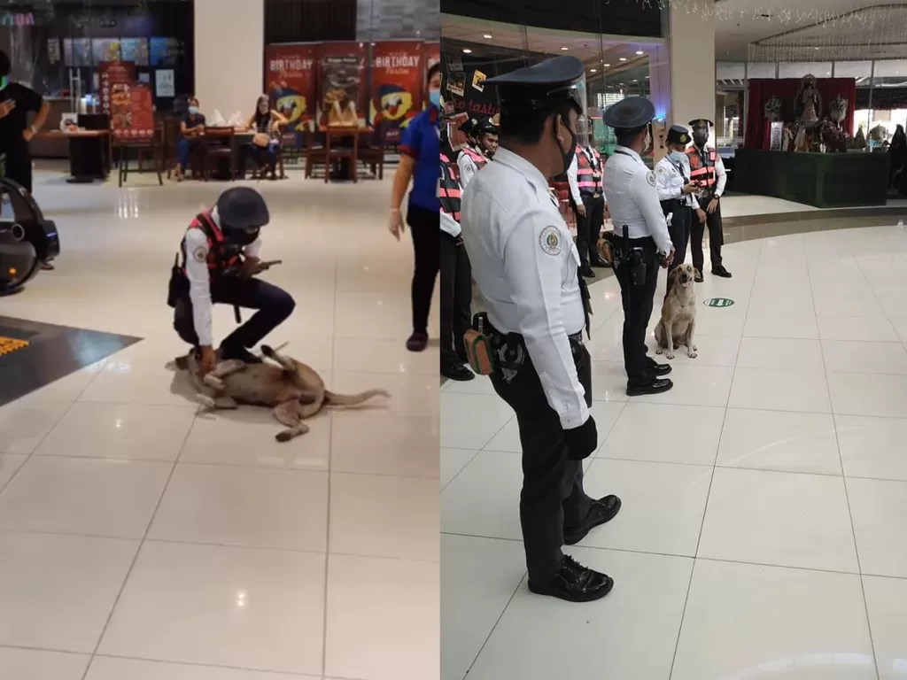 Kiri: Anjing liar diamankan saat masuk mall (Facebook/Jan Mart Calimpong) / Kanan: Anjing diangkat jadi tim keamanan (Facebook/ONE CAVITE)