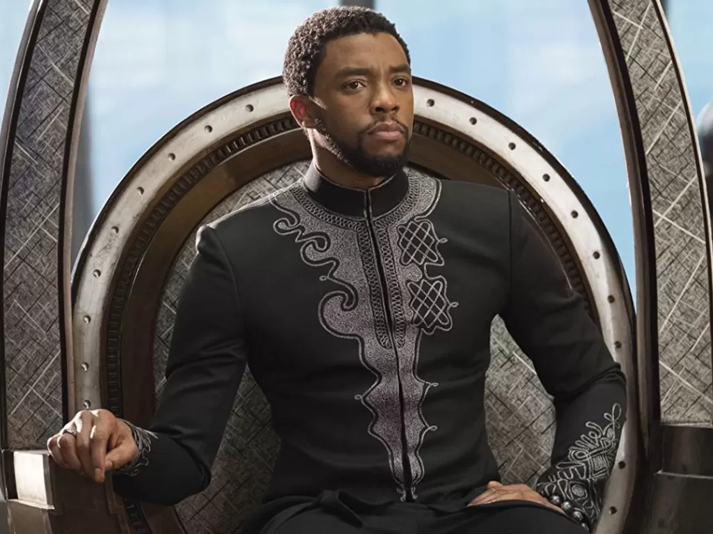 Chadwick Boseman in Black Panther (2018). ( Marvel Studios )