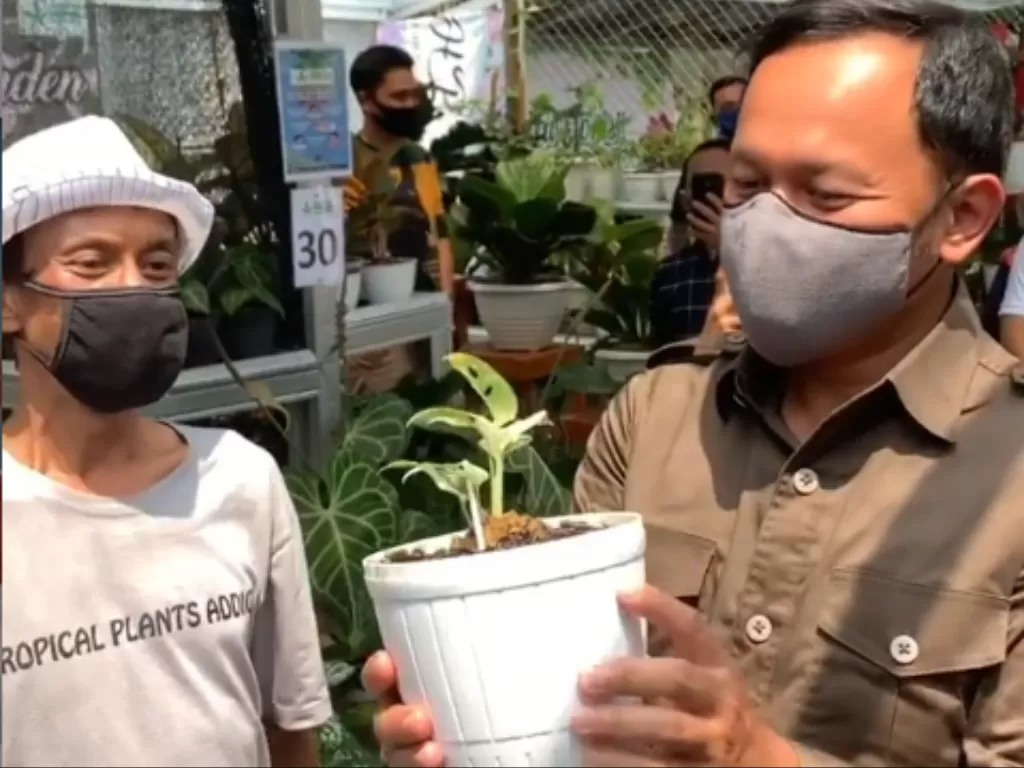 Wali Kota Bogor Bima Arya berinteraksi dengan pedagang tanaman hias