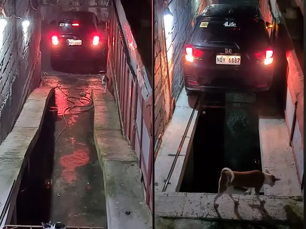 Cuplikan video pria yang parkir mobil di tempat yang sempit. (photo/TikTok/ Viral Press)