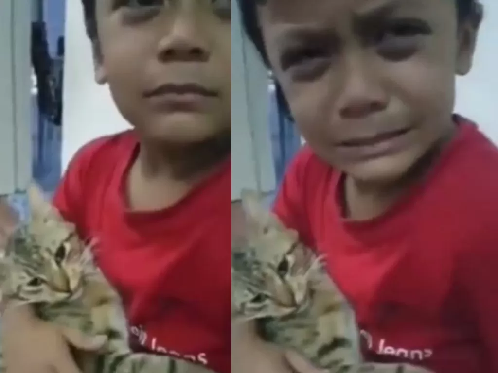 Bocah menangisi kematian kucingnya. (Tankapan layar)