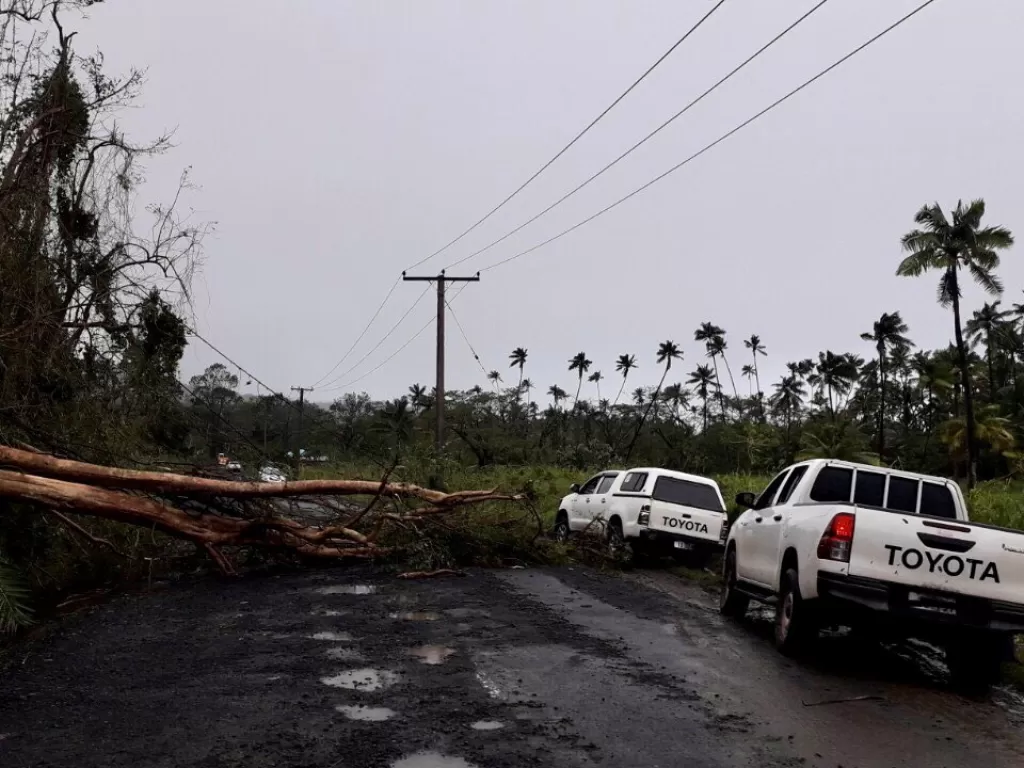 Sebuah pohon tumbang akibat Topan Yasa terletak di Jalan Transinsular di Fiji (REUTERS/FIJI ROADS AUTHORITY)