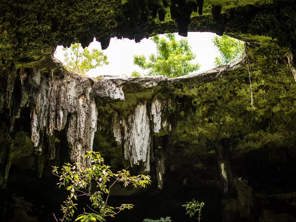 Lubang menuju gua bawah tanah di Chicxulu. (Pixabay/MarcTran)