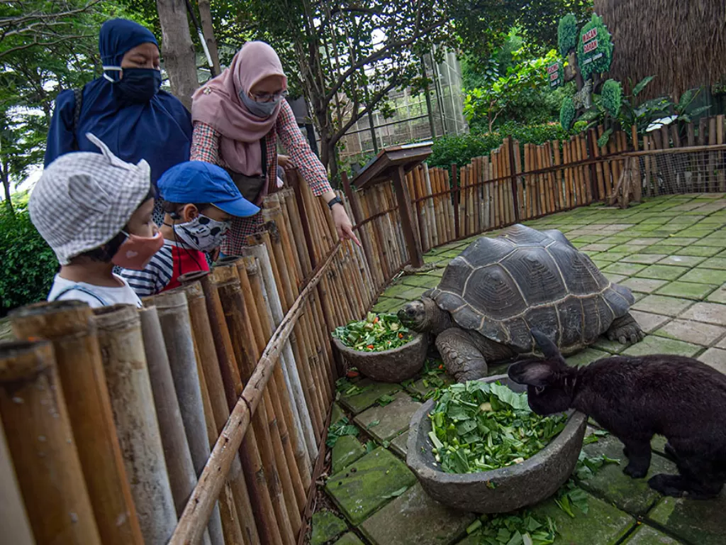 Wisatawan mengamati kura-kura raksasa aldabra (Aldabrachelys gigantea) dan kelinci koleksi kebun binatang Fauna Land di Ancol, Jakarta, Sabtu (19/12/2020). (Photo/ANTARA FOTO/Aditya Pradana Putra)