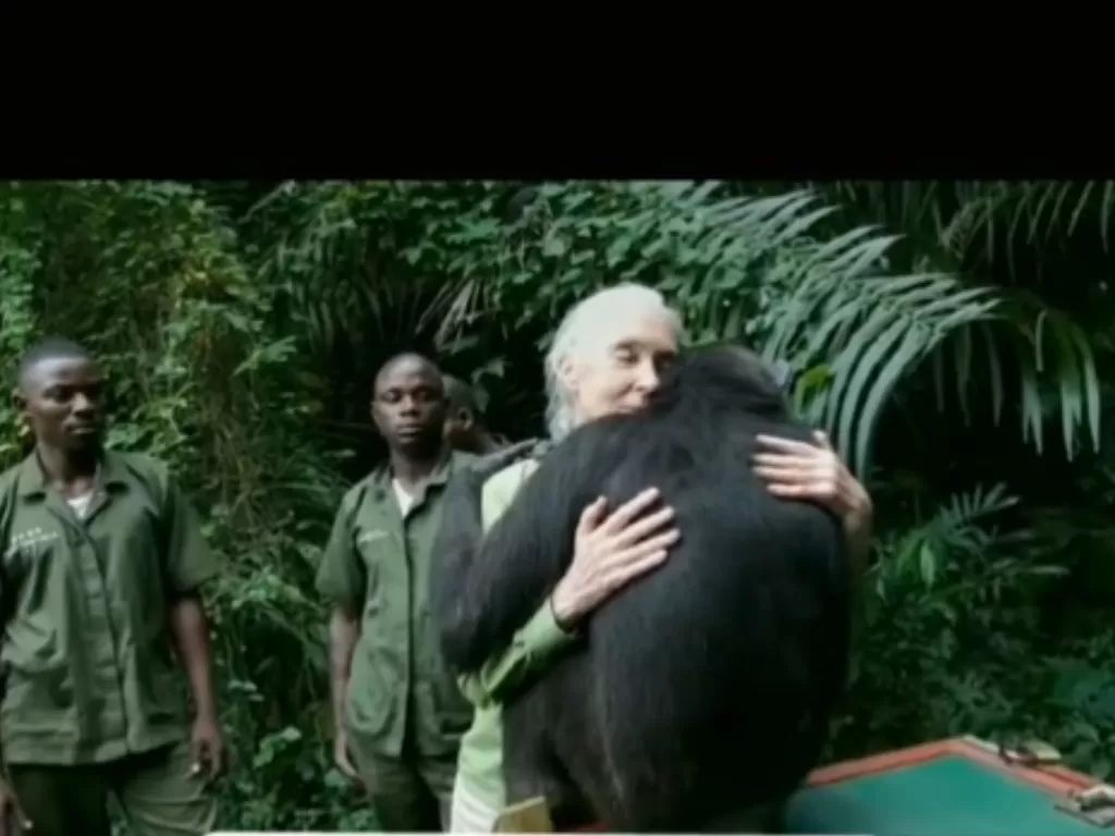 Orangutan peluk nenek yang sudah merawatnya viral (Tiktok)