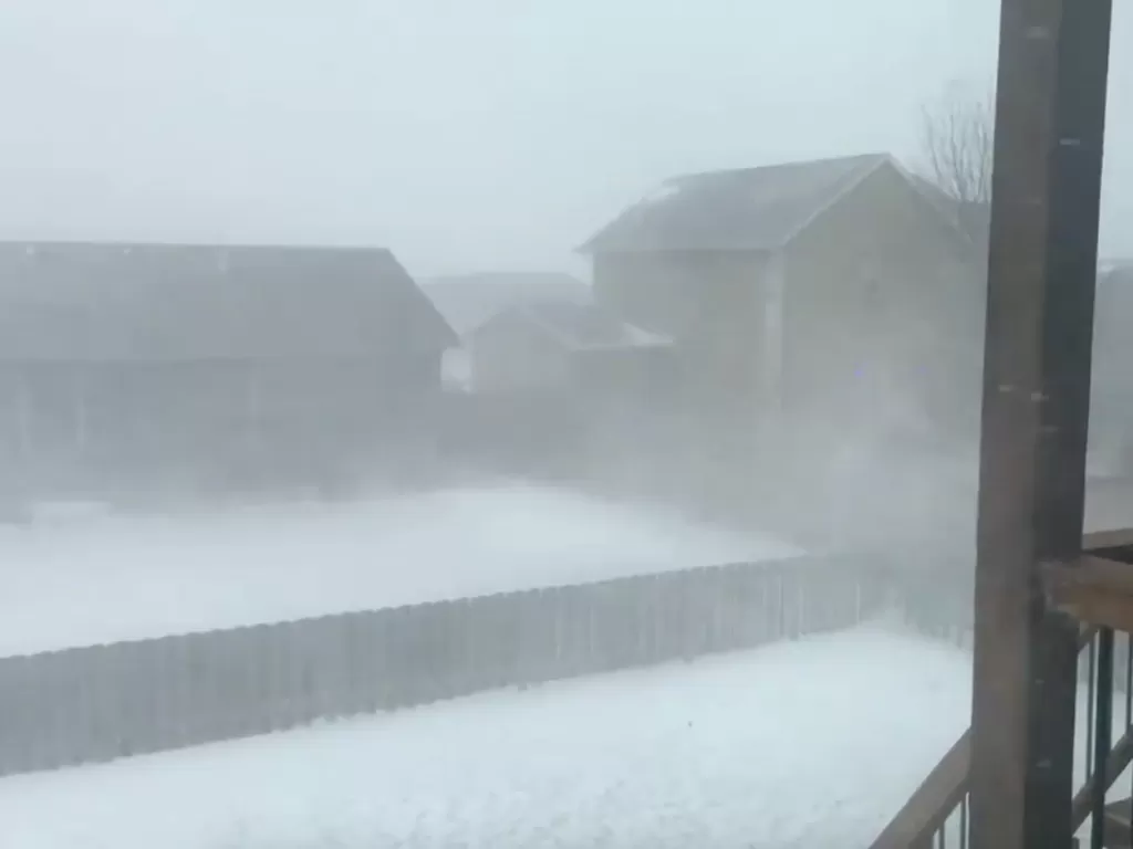 Badai salju terlihat di halaman belakang sebuah rumah di Sioux Falls, South Dakota (REUTERS/MATTHEW DUX)