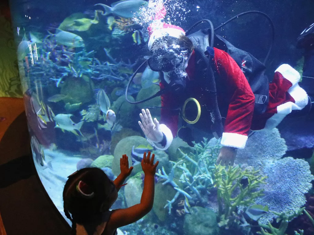 Sinterklas di Thailand berenang di akuarium hibur pengunjung. (REUTERS/SOE ZEYA TUN)