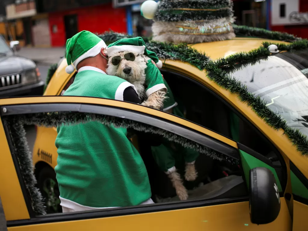 Sopir taksi di Kolombia dan anjingnya berkostum Santa keliling kota. (REUTERS/LUISA GONZALEZ)