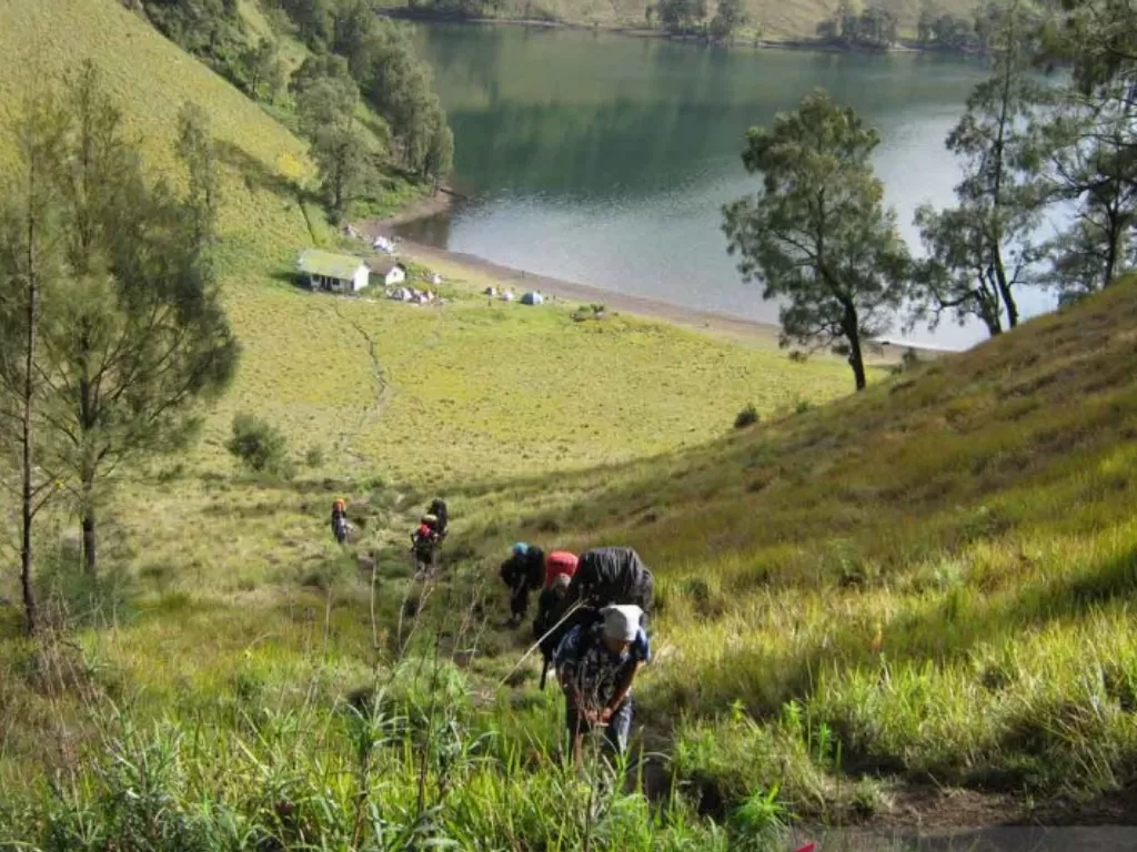Beberapa pendaki nampak sedang menapaki jalur pendakian Gunung Semeru. (ANTARA)