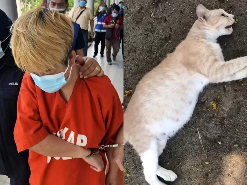 Seorang wanita pukuli kucing hamil hingga mati (Facebook/Info Roadblock JPJ/POLIS)