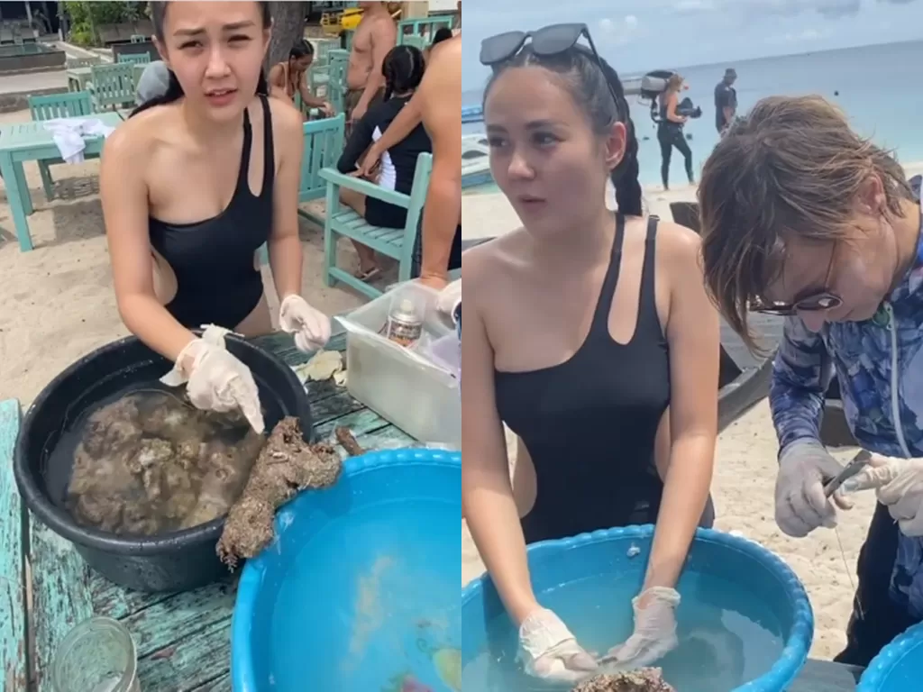 Cuplikan video saat Sarah Gibson belajar memperbaiki terumbu karang. (photo/Instagram/@sarahgibson21)