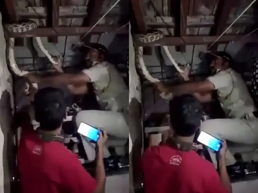 Seorang polisi selamatkan ular yang terjebak di rumah warga. (Photo/Twitter/@AnilDeshmukhNCP)