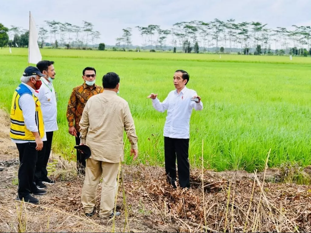 Presiden Jokowi dan kabinet kerja saat meninjau lokasi pengembangan lumbung pangan nasional di Kabupaten Kapuas dan Kabupaten Pulang Pisau.(photo/Instagram/@jokowi)