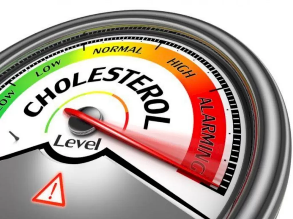 Ilustrasi Kolesterol Tinggi. (medicalnewstoday.com)