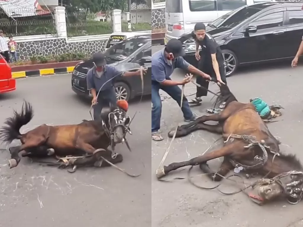 Viral kuda yang diduga kelelahan dan ambruk di tengah jalan. (Photo/Instagram/@cianjurtoday)