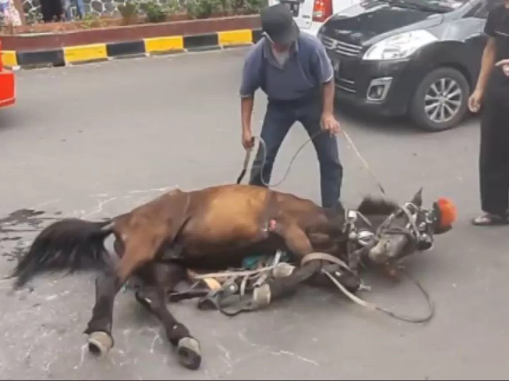 Kuda delman terkapar di jalan karena kelelahan. (Instagram Cianjur Today)