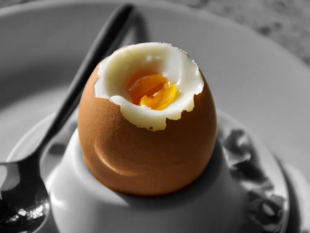 Telur rebus (Pixabay/Karl Allen Lugmayer)
