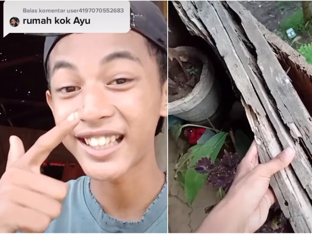 Reaksi pemuda diejek netizen rumah dari kayu (Tik Tok/frendibawotong)