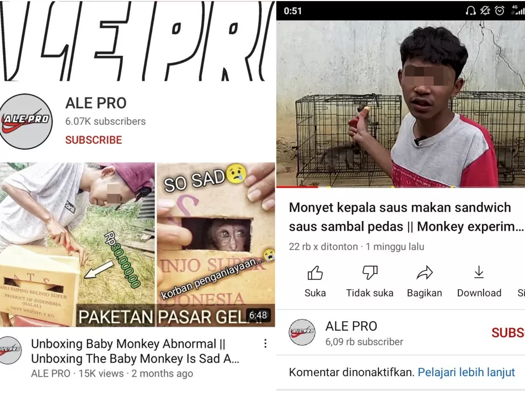 Youtuber Ale Pro siksa monyet (Youtube)
