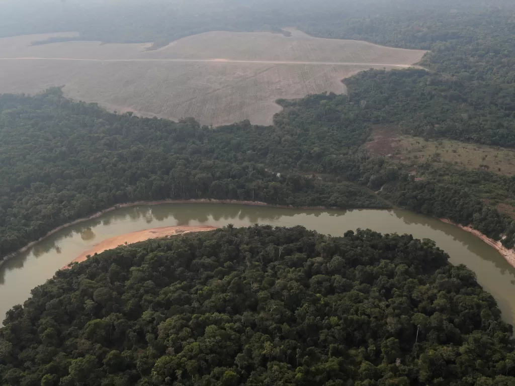 Ilustrasi hutan hujan Amazon. (photo/REUTERS/UESLEI MARCELINO)