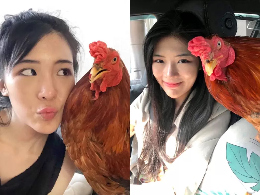 Jajah Veganerie, wanita asal Thailand yang menjadikan ayam sebagai hewan peliharaan. (Photo/Facebook/Jajah.Veganerie)