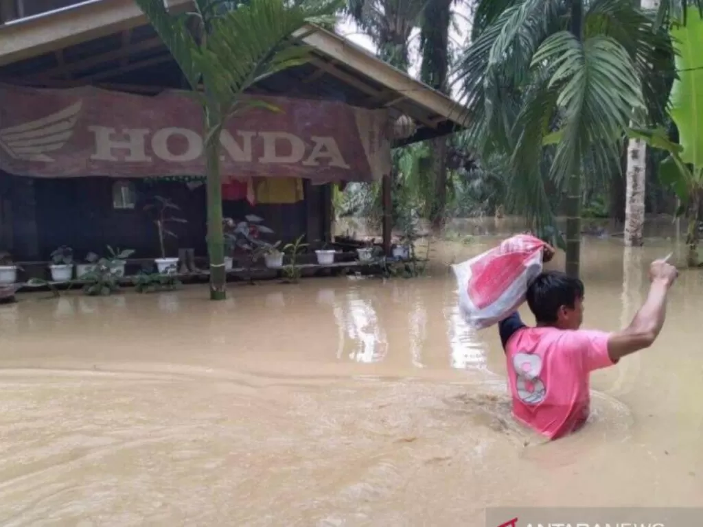  Ribuan rumah terendam banjir di sejumlah kecamatan di Kabupaten Aceh Tamiang, Jumat (22/1/2021). (ANTARA/HO-BPBD Aceh Tamiang)
