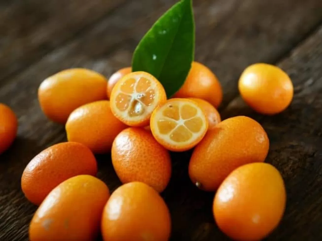 Jeruk kumquat. (conserveenergyfuture.com)