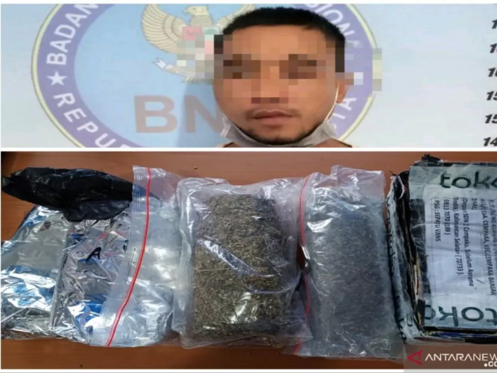 Tersangka ditangkap BNNP Kalsel dengan barang bukti dua paket ganja. (Foto: ANTARA/Firman) 