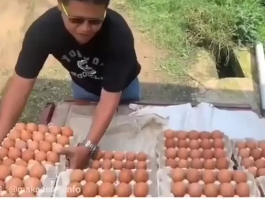 Buang telur ke sawah karena harga anjlok. (Ist)