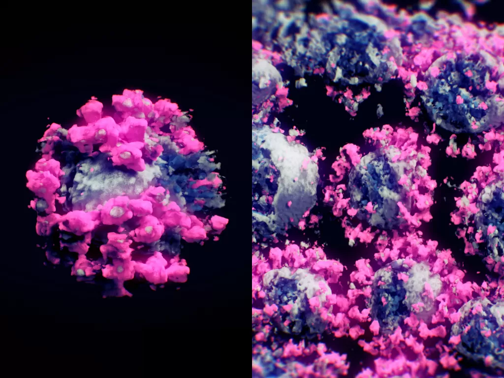 Tampilan 3D dari virus corona (photo/Dok. Nanographics GmbH)