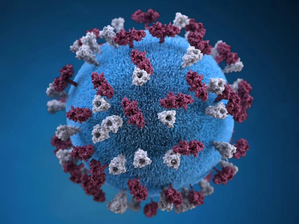 Ilustrasi virus (Unsplash/ CDC)