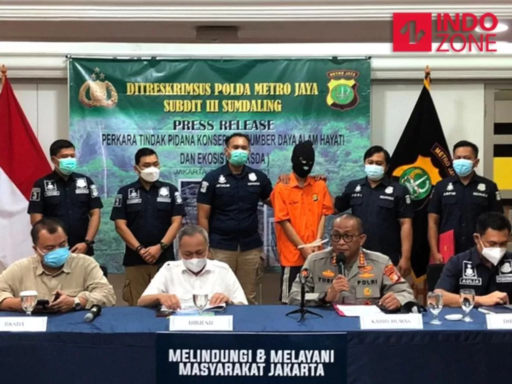 Konferensi pers Polda Metro Jaya, pengungkapan penjualan berbagai jenis satwa liar. (INDOZONE/Samsudhuha Wildansyah)