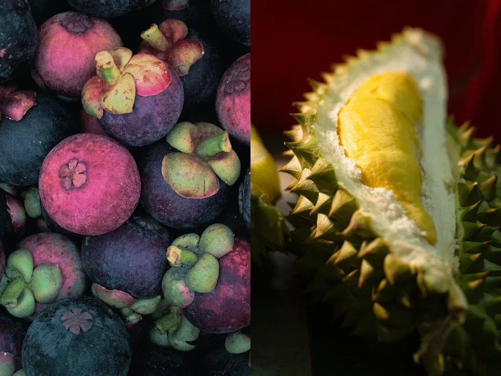 Ilustrasi buah manggis dan durian (Pexels/Maddog 229)