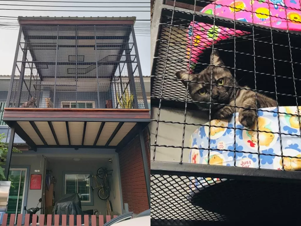 Revonasi atap rumah hanya untuk kucing. (Photo/Facebook/Sasamon Sophin)