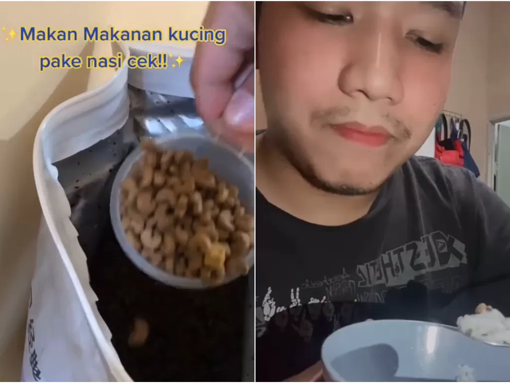 Pria makan makanan kucing pakai nasi. (photo/Screenshoot/TikTok/@zeethecat22)