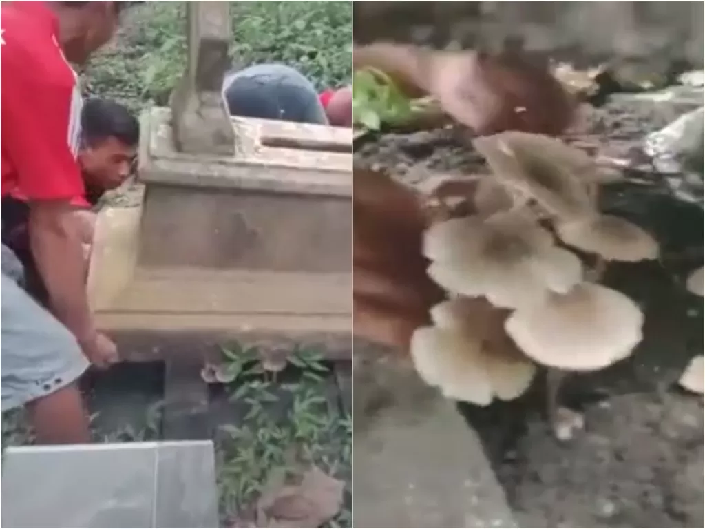 Video saat pria yang angkat nisan kuburan demi ambil jamur. (photo/TikTok/@kesellerenn)