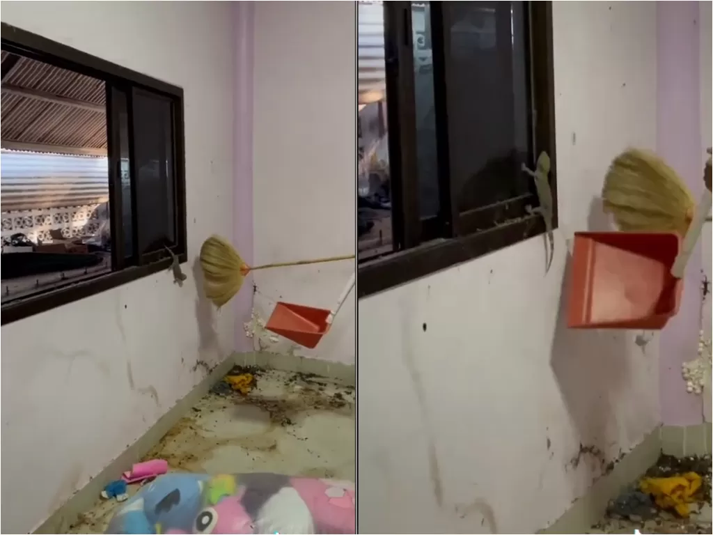 Cuplikan pria yang tangkap tokek, netizen salfok dengan ruanga yang kotor. (photo/TikTok/@yeawnoil)